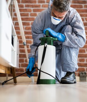 pest control services
