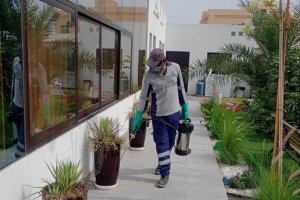 Pest Control Company in Abu Dhabi